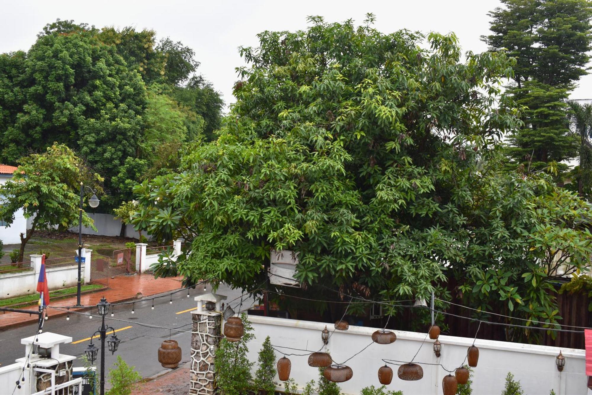 Monsane Villa Luang Prabang Dış mekan fotoğraf